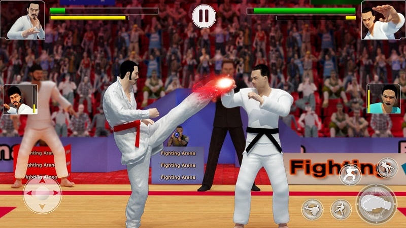 Karate Fighting mod pure